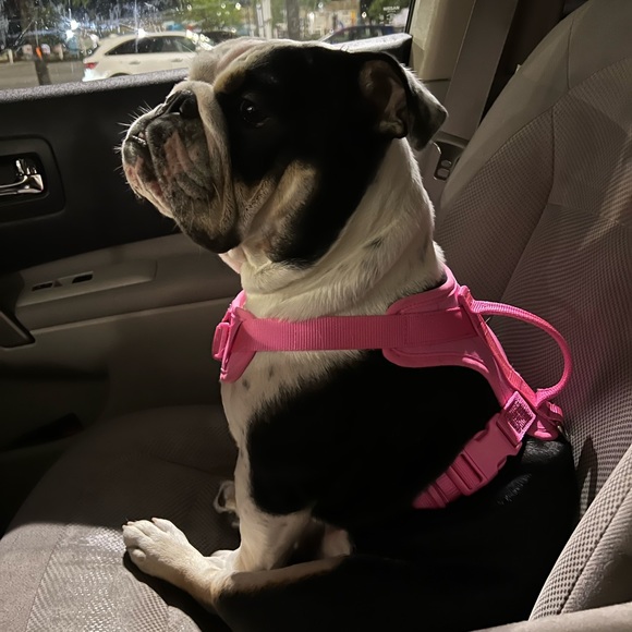 Meet your Posher, Susan - Picture 3 of 3